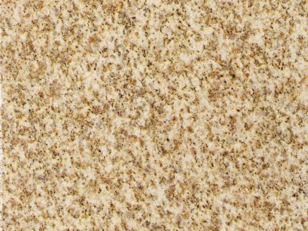 5e596d6.jpg