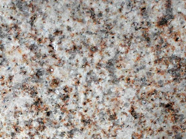 675beb5e596d6.jpg